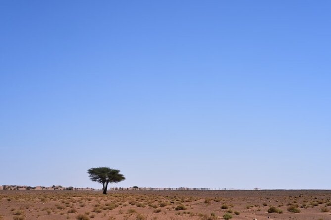 3 Days Guided Tour From Marrakech to Fes via Desert - Sightseeing Stops