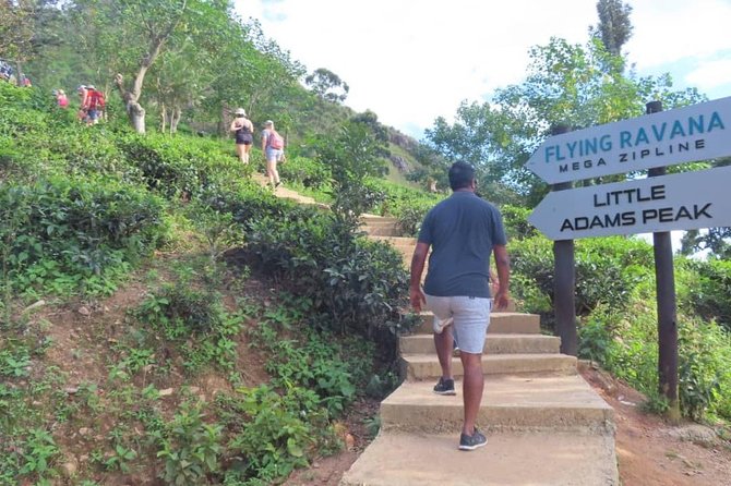 3 Days Highlights Of Kandy,Sigiriya,Nuwaraeliya Ella & Udawalawe (All Inclusive) - Discovering the Majestic Sigiriya Rock