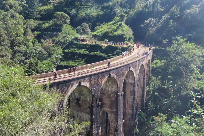 3 Days Highlights Of Kandy,Sigiriya,Nuwaraeliya Ella & Udawalawe (All Inclusive) - Accommodation and Dining Arrangements