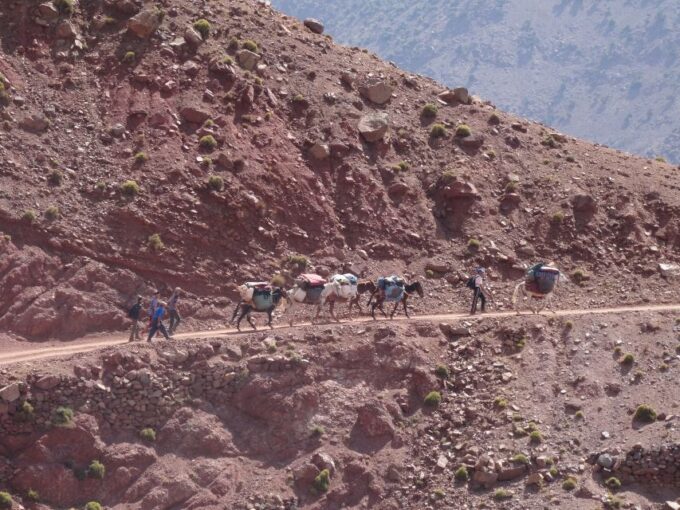 3 Days Hiking in the Atlas Mountains - Guided Tour Details