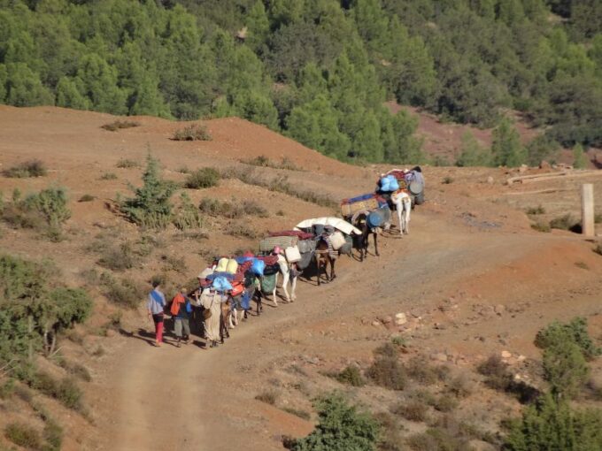 3 Days Hiking in the Atlas Mountains - Frequently Asked Questions
