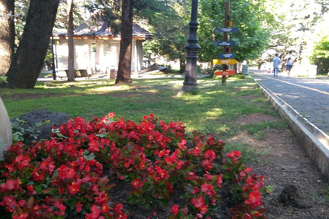 3 Days Holiday Package In Georgia (Kakheti Wine Tour) - Meeting and Pickup Logistics