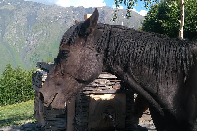 3 Days Holiday Package In Georgia (Kazbegi) - Participation Information