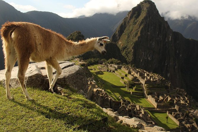 3-Days Huchuy Qosqo Trek to Machu Picchu From Cusco - Accommodations and Meals