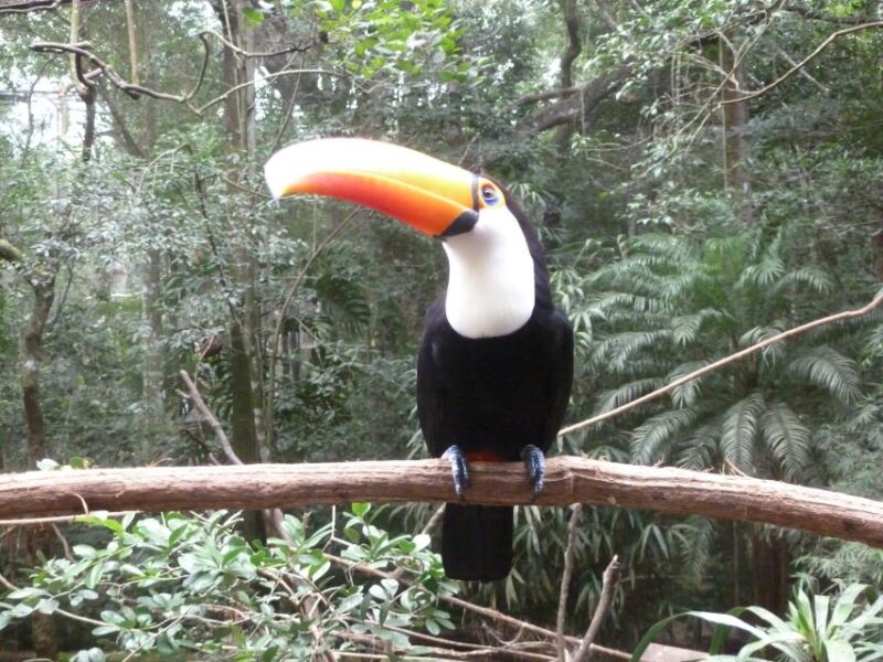 3-days Iguassu Falls Tour - Iguassu Falls Highlights