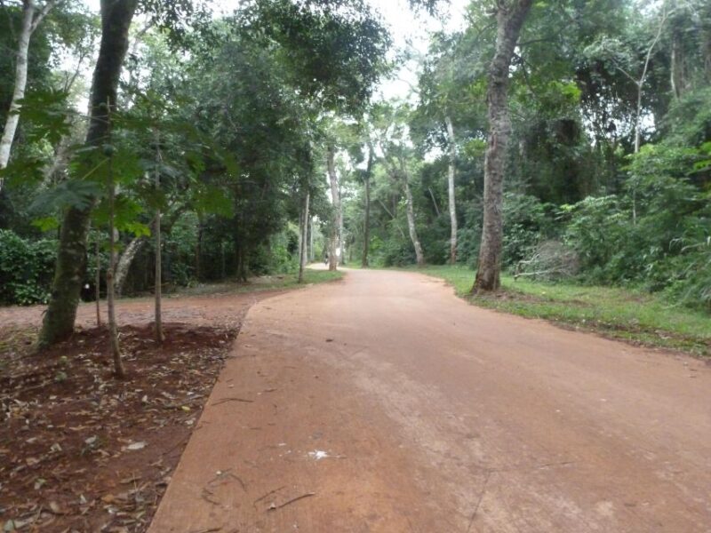3-days Iguassu Falls Tour - Arrival and Visit to Brazilian Falls
