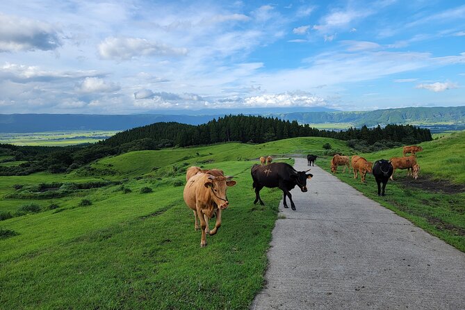 3 Days in Aso to Experience the Nature and Peoples Lives of the Active Volcano - Navigating the Aso Regions Highlights
