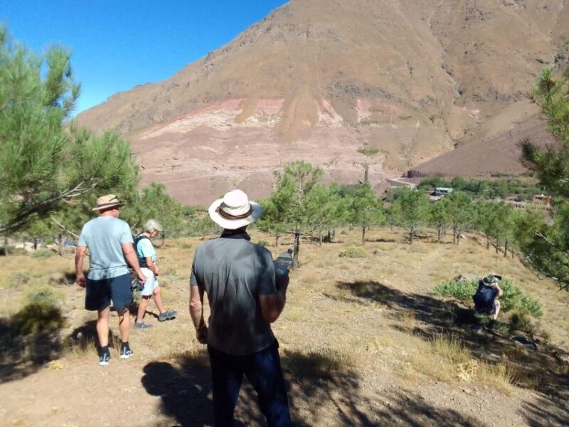 3 Days in Imlil: Discovery of Local Cultural Wealth - Logistics and Requirements