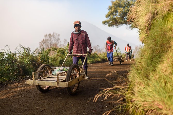 3 Days in Java: Bali-Bromo-Kawah Ijen-Bali - Itinerary