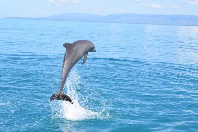 3-Days Jamaica Sightseeing Tour of Treasure Beach and Negril Departing From Kingston - Additional Tour Details