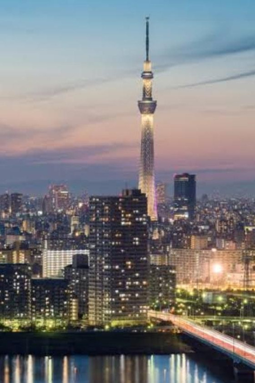 3 Days Japan Tour Tokyo , Mt Fuji and Nikko (English Driver) - Ascending Tokyo Skytree
