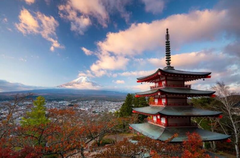 3 Days Japan Tour Tokyo , Mt Fuji and Nikko (English Driver) - Discovering Meiji Jingu Shrine