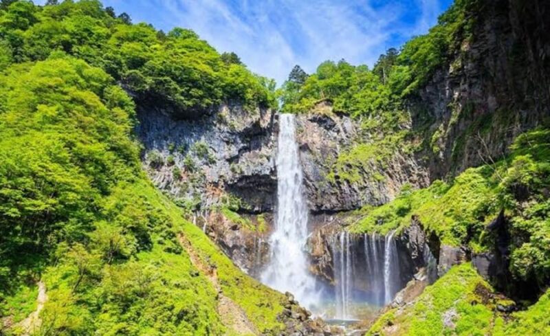 3 Days Japan Tour Tokyo , Mt Fuji and Nikko (English Driver) - Wandering Takeshita Street