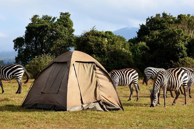 3 Days Joined Group Safari Ngorongoro,Lake Manyara and Tarangire National Park - Safari Overview