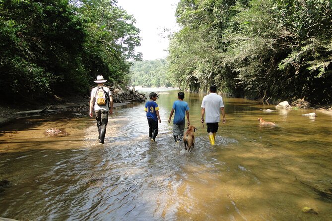 3 Days Jungle Tour Expedition Amazonia in Ecuador Rainforest - Inclusions and Exclusions
