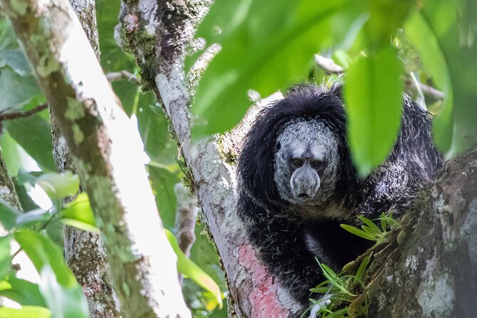 3 Days Jungle Tour Expedition Amazonia in Ecuador Rainforest - What to Bring