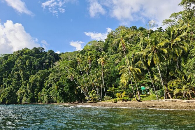 3 Days Kayak & Camping Excursionon in Golfo Dulce - Packing and Preparation
