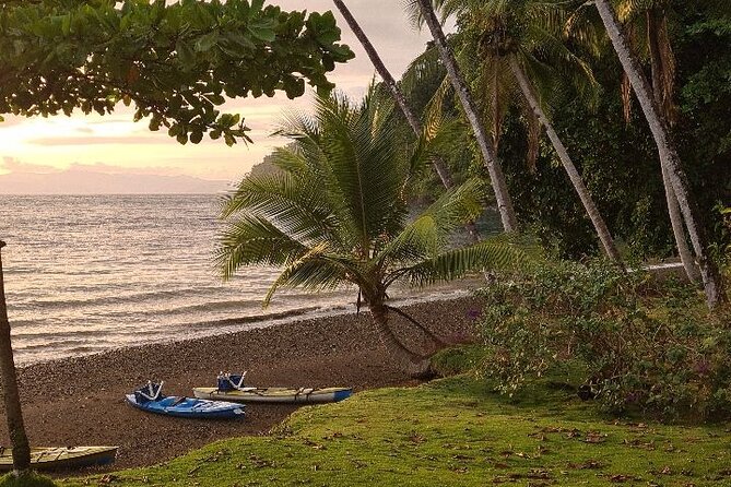 3 Days Kayak & Camping Excursionon in Golfo Dulce - Wildlife and Nature