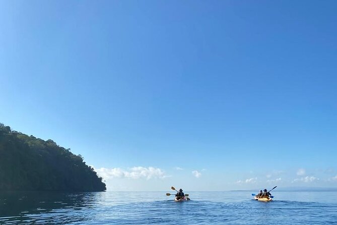 3 Days Kayak & Camping Excursionon in Golfo Dulce - Itinerary and Meals