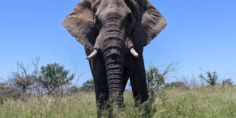 3-Days Kruger Park Safari & Panorama Route - Key Points