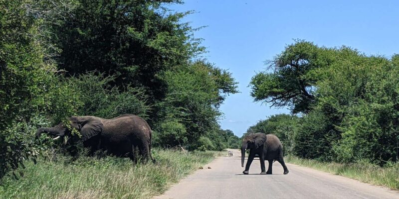 3-Days Kruger Park Safari & Panorama Route - Itinerary