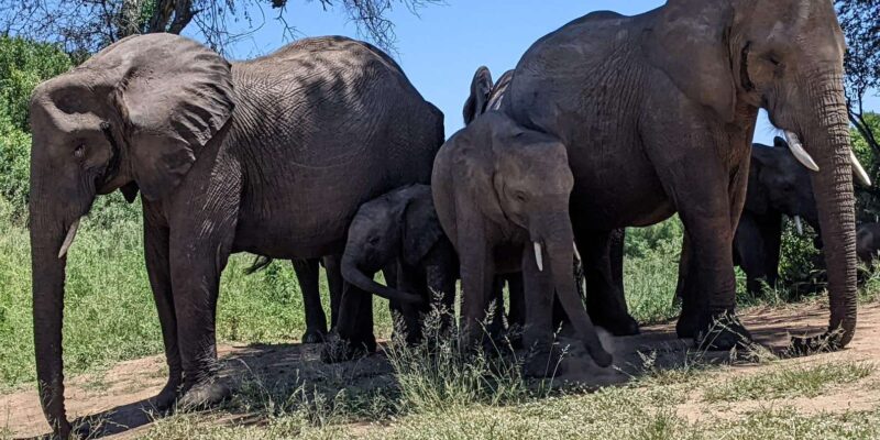 3-Days Kruger Park Safari & Panorama Route - Panorama Route Attractions