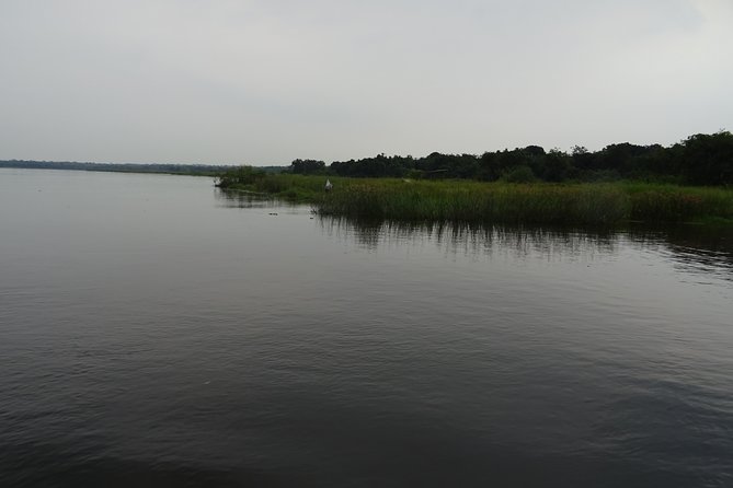 3 Days Lake Bunyonyi and Gorilla Trekking Tour in Uganda - Traveler Capacity and Reviews