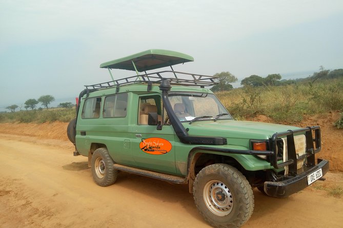 3 Days Lake Bunyonyi and Gorilla Trekking Tour in Uganda - Physical Fitness Requirements