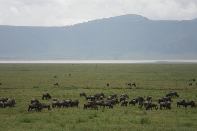 3 Days Lake Manyara, Ngorogoro Crater, Tarangire National Park - Daily Itinerary