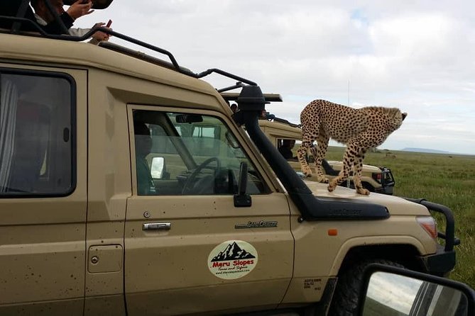 3 Days Lake Manyara, Ngorogoro Crater, Tarangire National Park - Inclusions and Exclusions