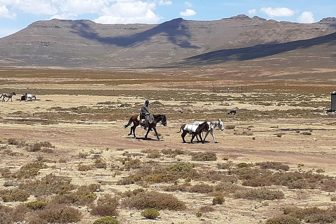 3 Days Lesotho Private Tour, Sani Pass and Maletsunyana Falls - Rugged Landscapes Exploration