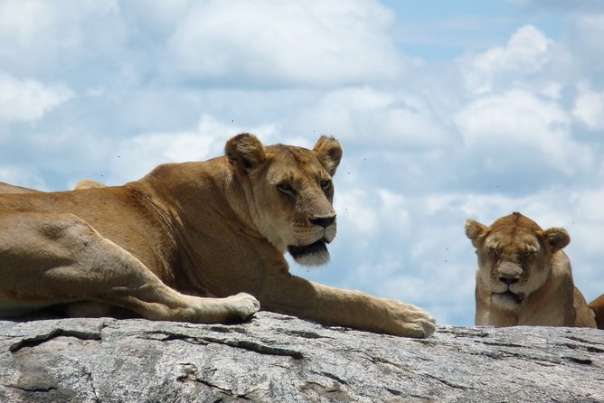 3 Days Lodge Safari - Inclusions and Exclusions