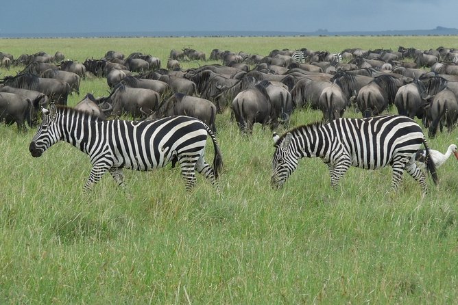 3 Days Lodge Safari - Pickup Information