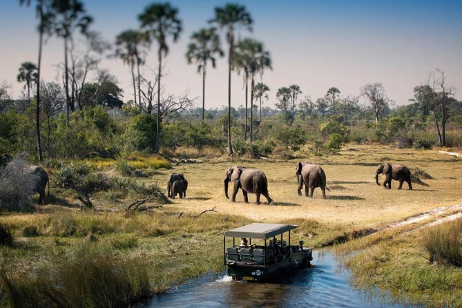 3-Days Lodge Safari in Tarangire, Ngorongoro Crater & Lake Manyara - Included Experiences