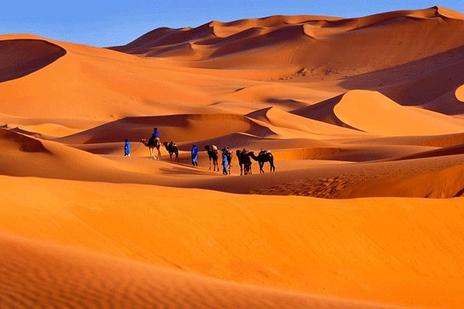 3 Days Luxury Camp in Merzouga With Camel Ride - Accommodations Details