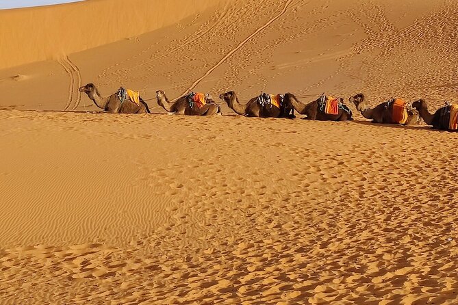 3 Days Luxury Desert Tour From Fes To Marrakech via Merzouga - Dining and Refreshments