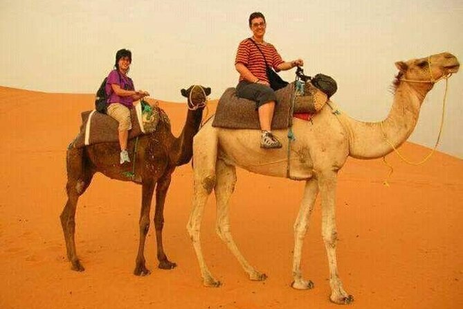 3 Days Luxury Desert Tour From Fes To Marrakech via Merzouga - Guide and Transportation