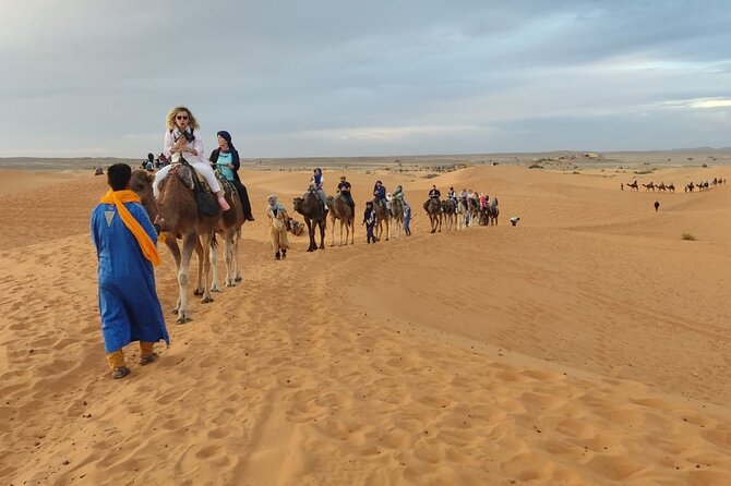 3 Days Luxury Desert Tour From Fes To Marrakech via Merzouga - Customer Reviews