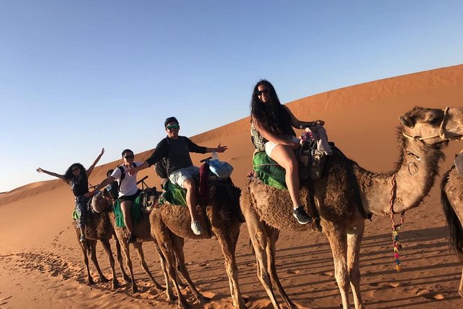 3 Days Luxury Desert Tour From Marrakesh Morocco - Customer Reviews