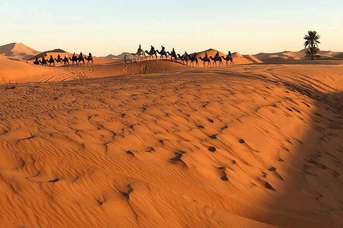 3 Days Luxury Desert Tour From Marrakesh Morocco - Recap