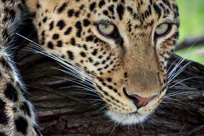 3 Days Luxury Lodge Safari in Tanzania - Health and Safety Considerations