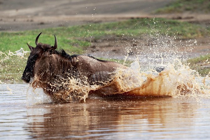 3 Days Luxury Lodge Safari in Tanzania - Booking and Cancellation Policy