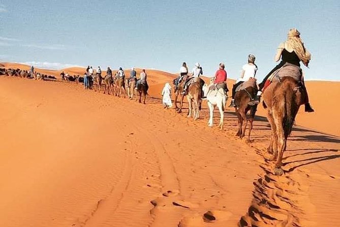 3 Days Luxury Private Desert Tour From Fez to Marrakech - Accessibility and Participation