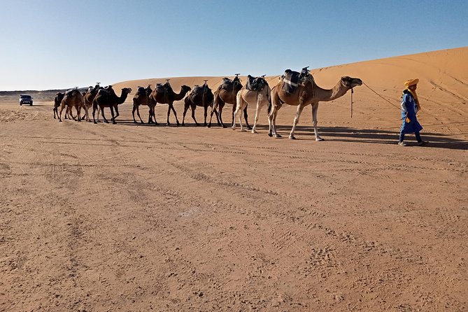 3 Days Luxury Private Desert Tour From Fez to Marrakech - Marveling at Dades Gorge