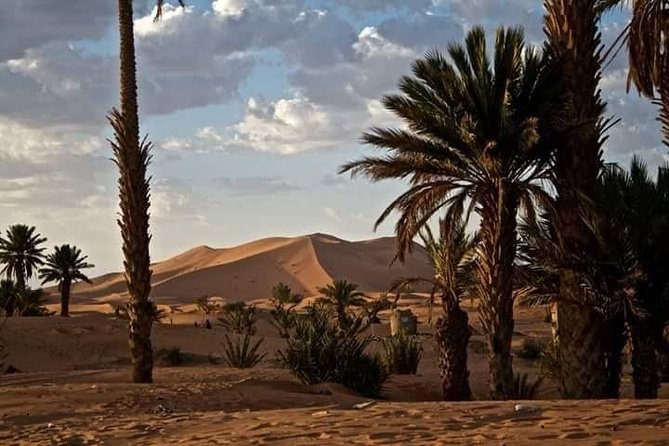3 Days Luxury Private Desert Tour From Fez to Marrakech - Accommodation in Marrakech