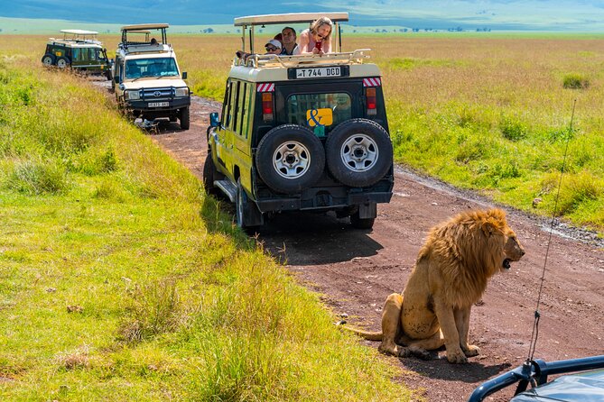 3 Days Luxury Safari Tour in Tanzania - Dining Experiences