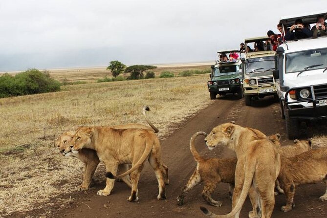 3 Days Luxury Safari Tour in Tanzania - Pickup and Transportation
