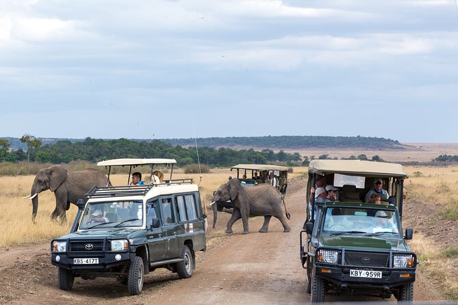3 Days Luxury Safari Tour in Tanzania - Booking and Cancellation