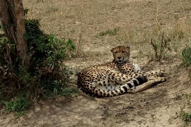 3 Days Maasai Mara Budget Group Safari - Pricing and Cancellation
