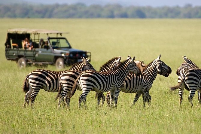 3 Days Maasai Mara From Nairobi - Meals